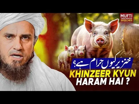 KhinzeerKyunHaramHai